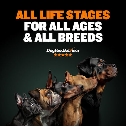 Dry Dog Food for Adults & Puppies - High Protein & Fat for Muscle & Weight Gain - High Performance Dog Food Supplements - Small & Large Breed Dogs (535 Calories per Cup), Chicken, 15Lb Bag