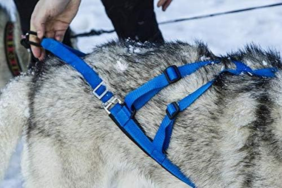 Adjustable Sled Pro Harness - Small, Blue, Dog Pulling Harness for Large Breeds & Giant Dogs, Great for Dog Joring